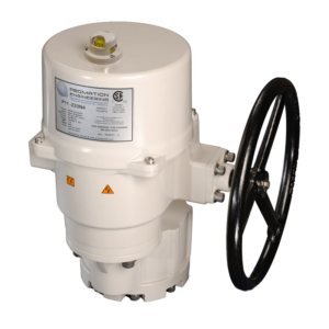 P11 Product Image